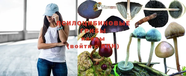 каннабис Балахна